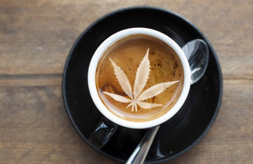 CBD in Coffee