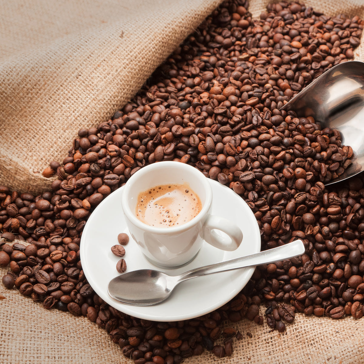 French Blend – Gillies Coffee