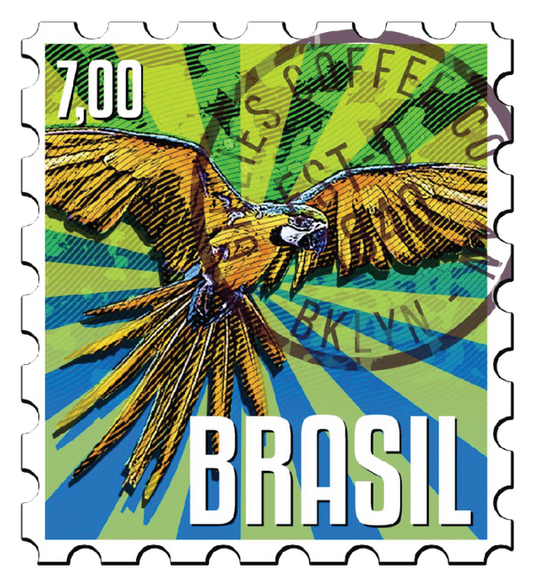 Brazil Sul De Minas