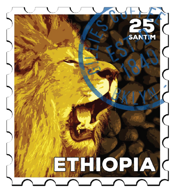 Green Coffee - Ethiopia Natural Sidamo