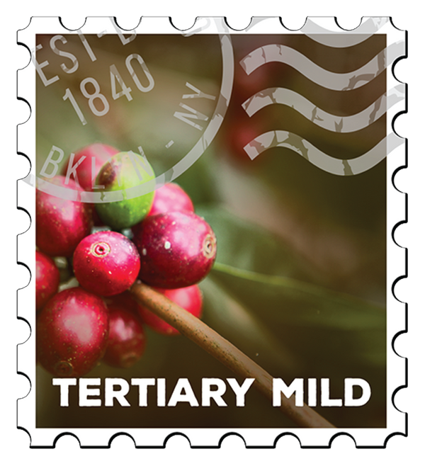 Green Coffee - Tertiary Mild Arabica