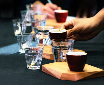 The Coffee Lover’s Dictionary: How to Taste Coffee Like a Pro