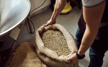 Coffee supplier bagging up green coffee beans