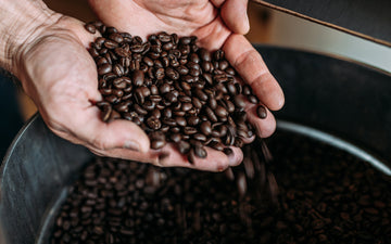 Coffee roaster holding beans