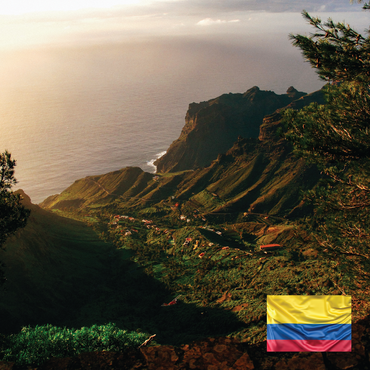 Colombia – Gillies Coffee