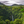 Costa Rica Tarrazu