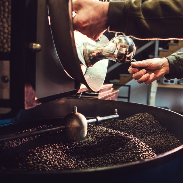 DNS Reserve Blend