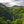 Costa Rica Tarrazu