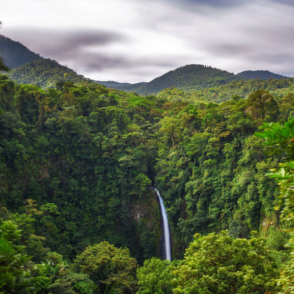 Costa Rica Tarrazu
