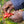 Kenya Fancy Mark