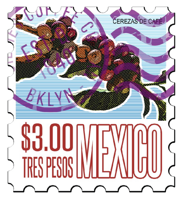 Green Coffee - Mexico Altura