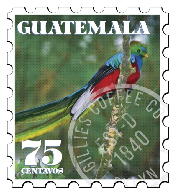 Green Coffee - Guatemala Antigua