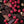 Chocolate Raspberry