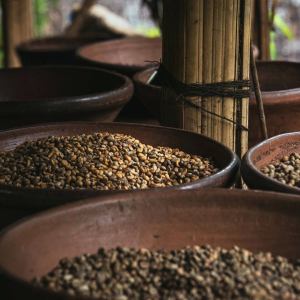 Indonesia Sumatra